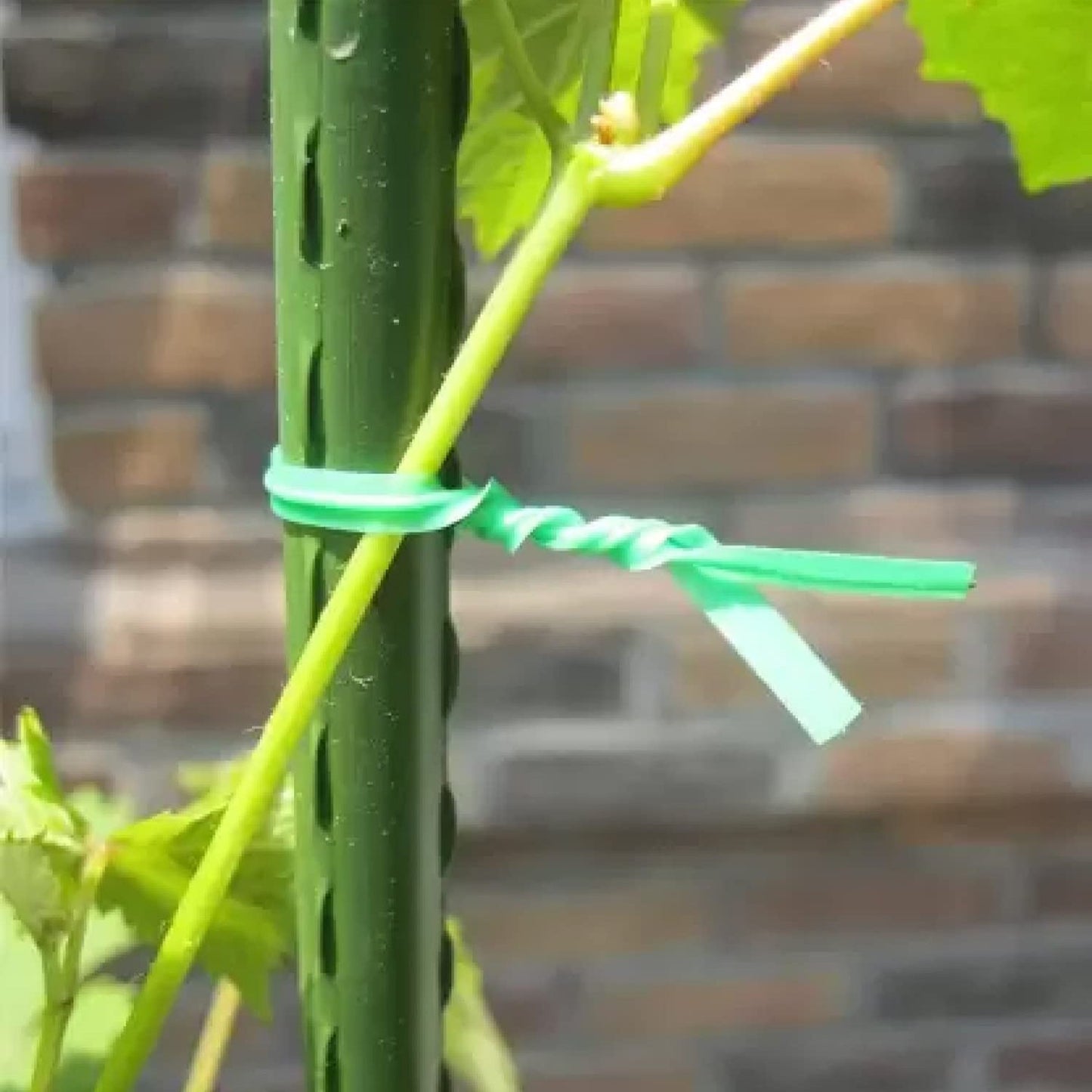 Garden Wire, Sturdy Plant Ties for Support, Garden Ties with Cutter (50 Mtr)