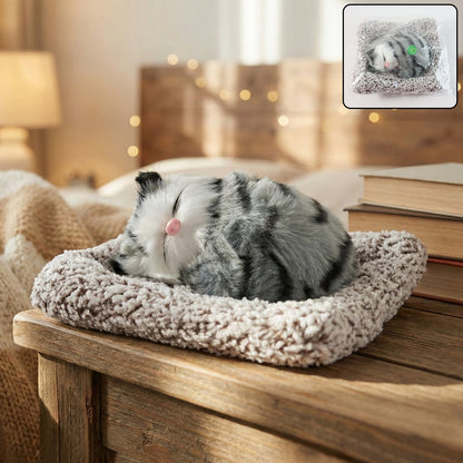 Closed-eye plush cat toy

