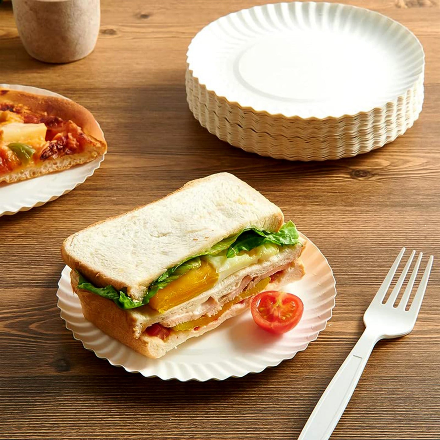 Freshee 9 Inch Round Compostable Paper Plate – 25 Pcs Pack
